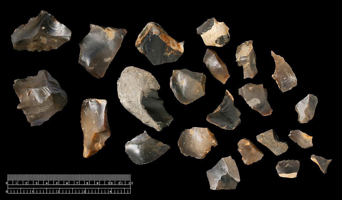 Prehistoric flint tools,Pakefield