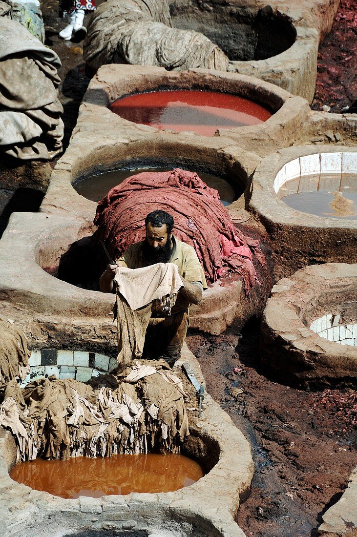 Tannery,Morocco