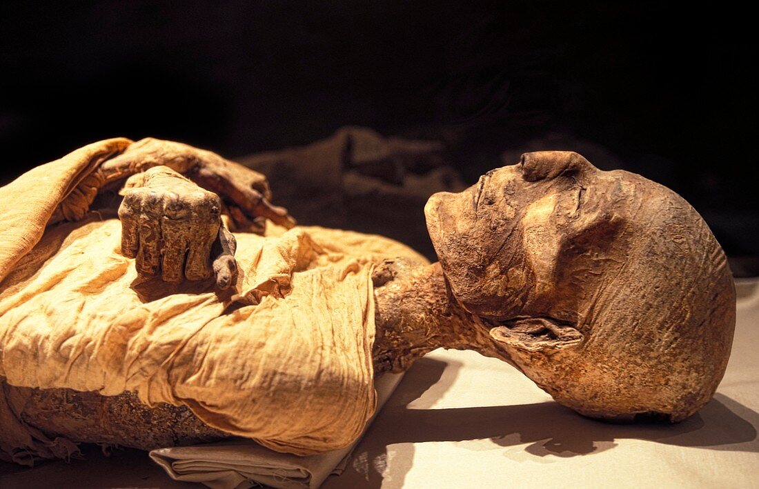 Merneptah mummy,Egypt