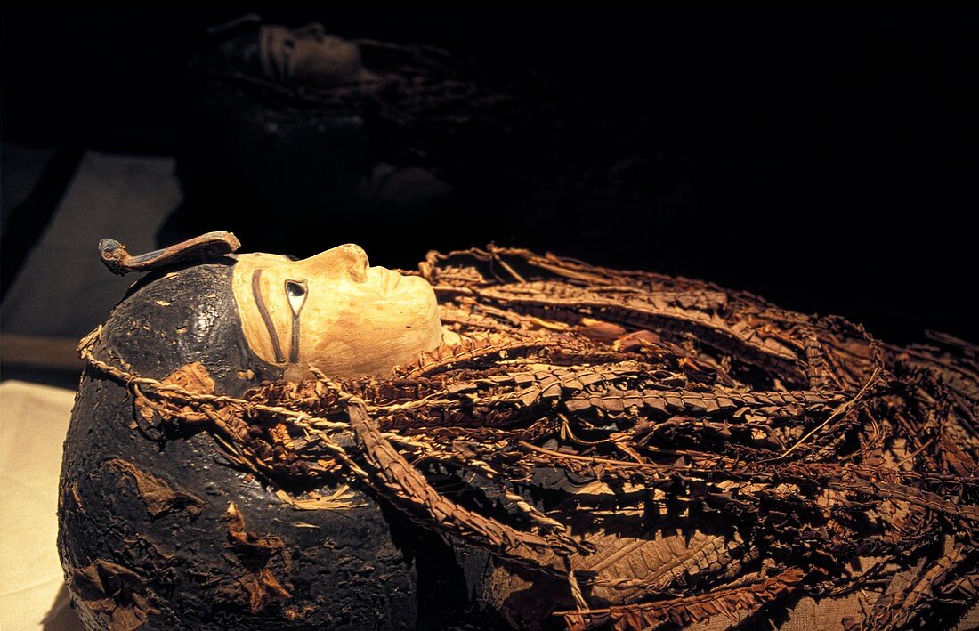 Amenhotep I mummy,Egypt