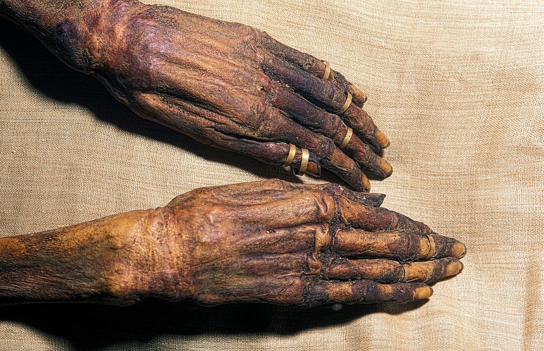 Djedptahiufankh mummy,Egypt