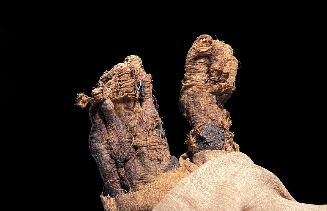 Ramases IV mummy,Egypt