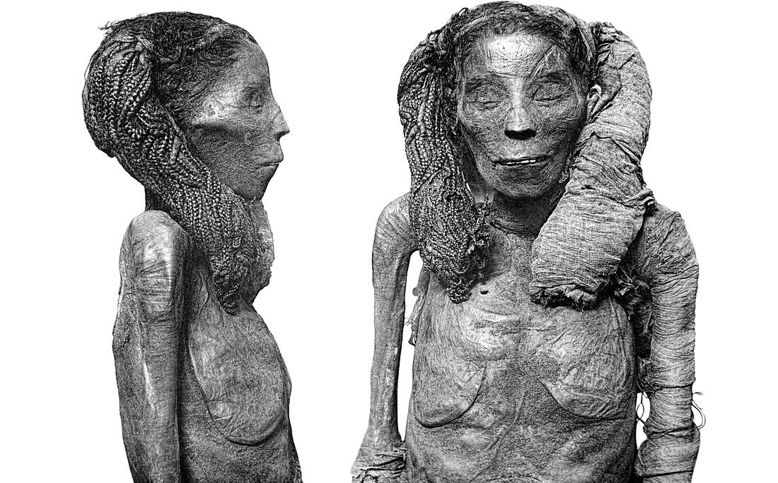 Dame Rai mummy,Egypt