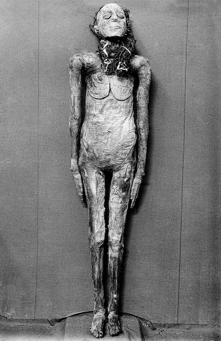 Egyptian mummy,Egypt