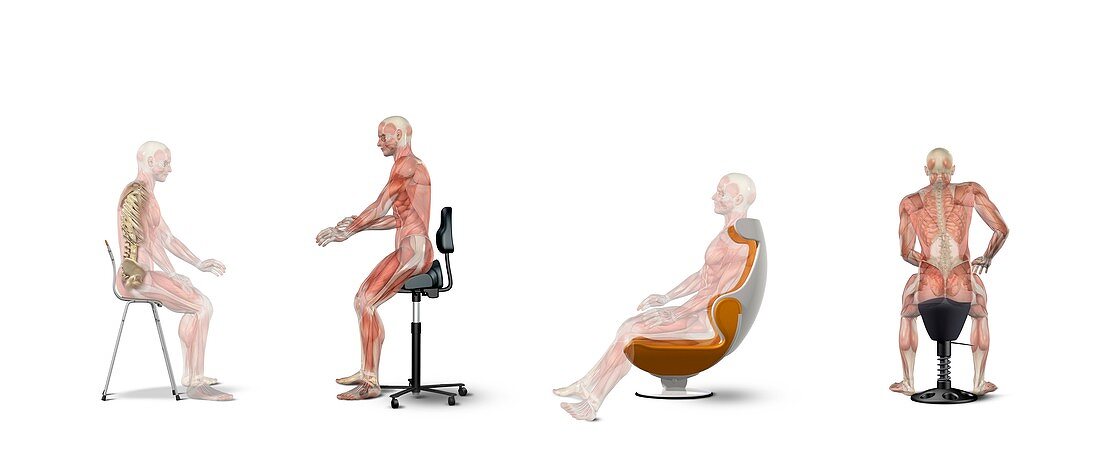 Chair ergonomics,correct postures
