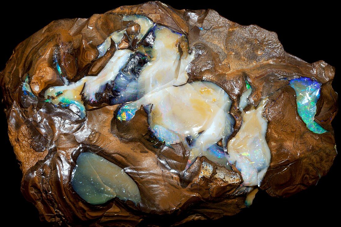 Opal in its host rock