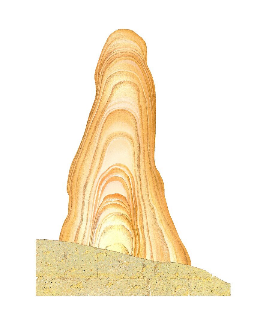 Stalagmite layers