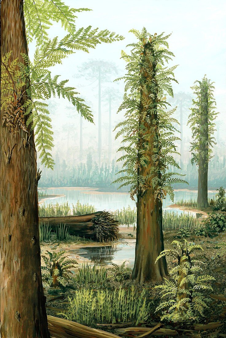 Cretaceous tree ferns,artwork