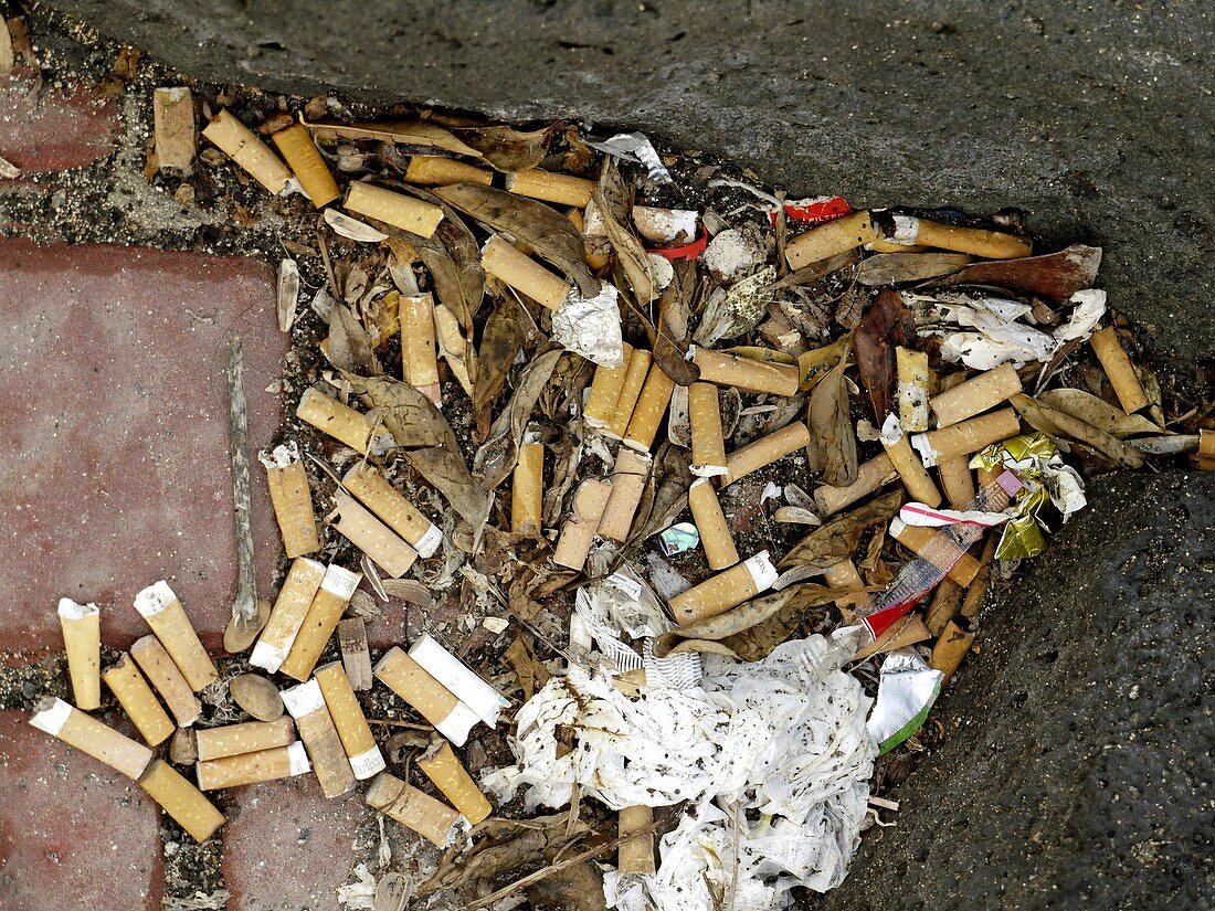 Discarded cigarette butts