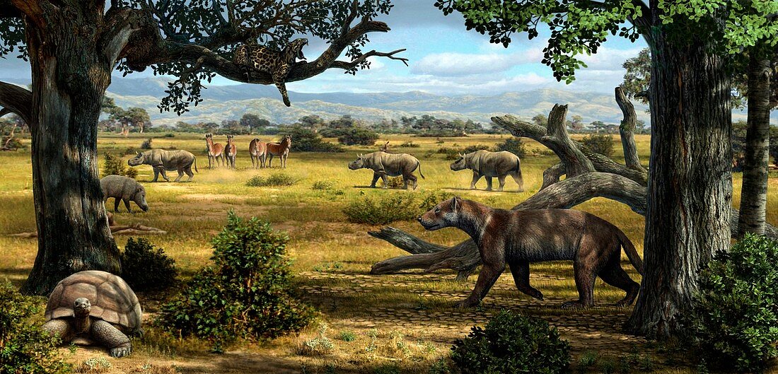 Wildlife of the Miocene era,artwork