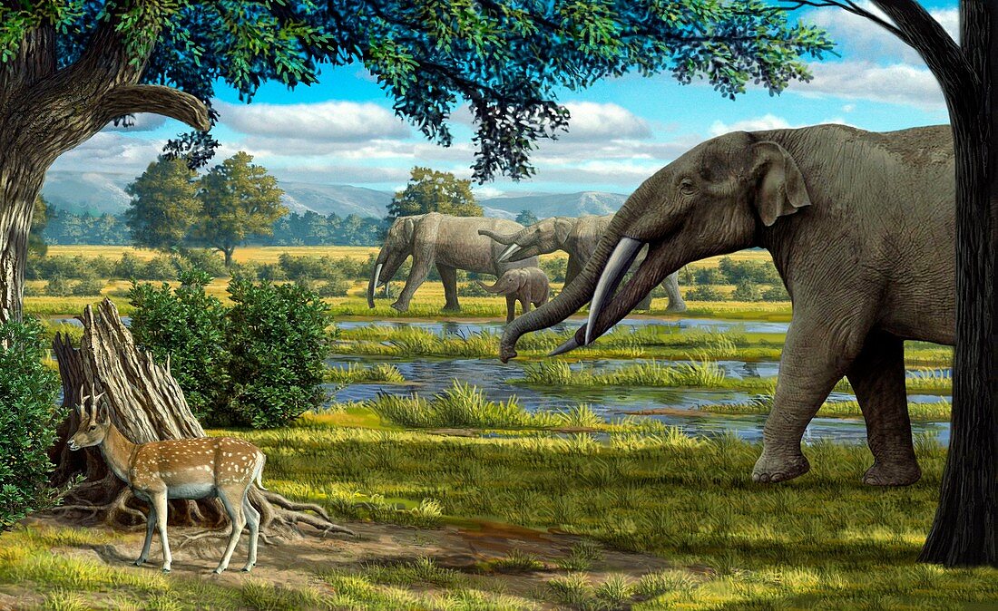 Wildlife of the Miocene era,artwork