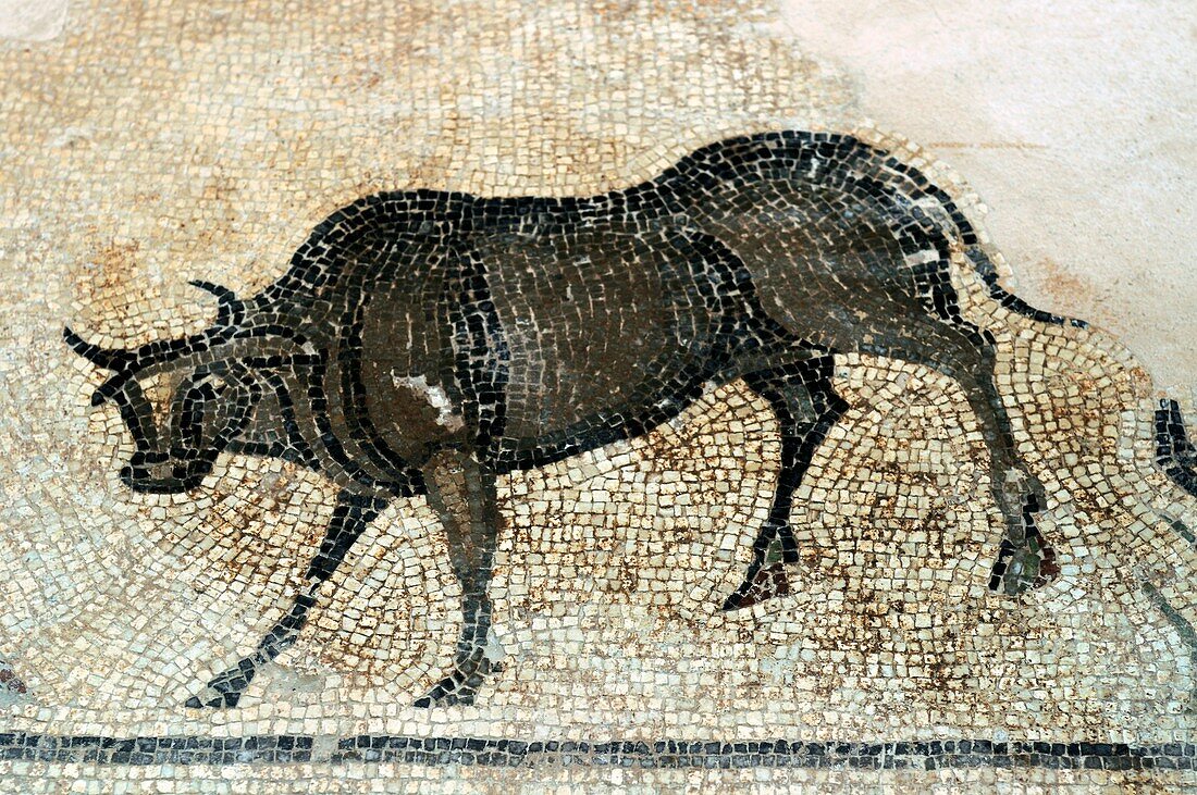 Byzantine mosaic,Turkey