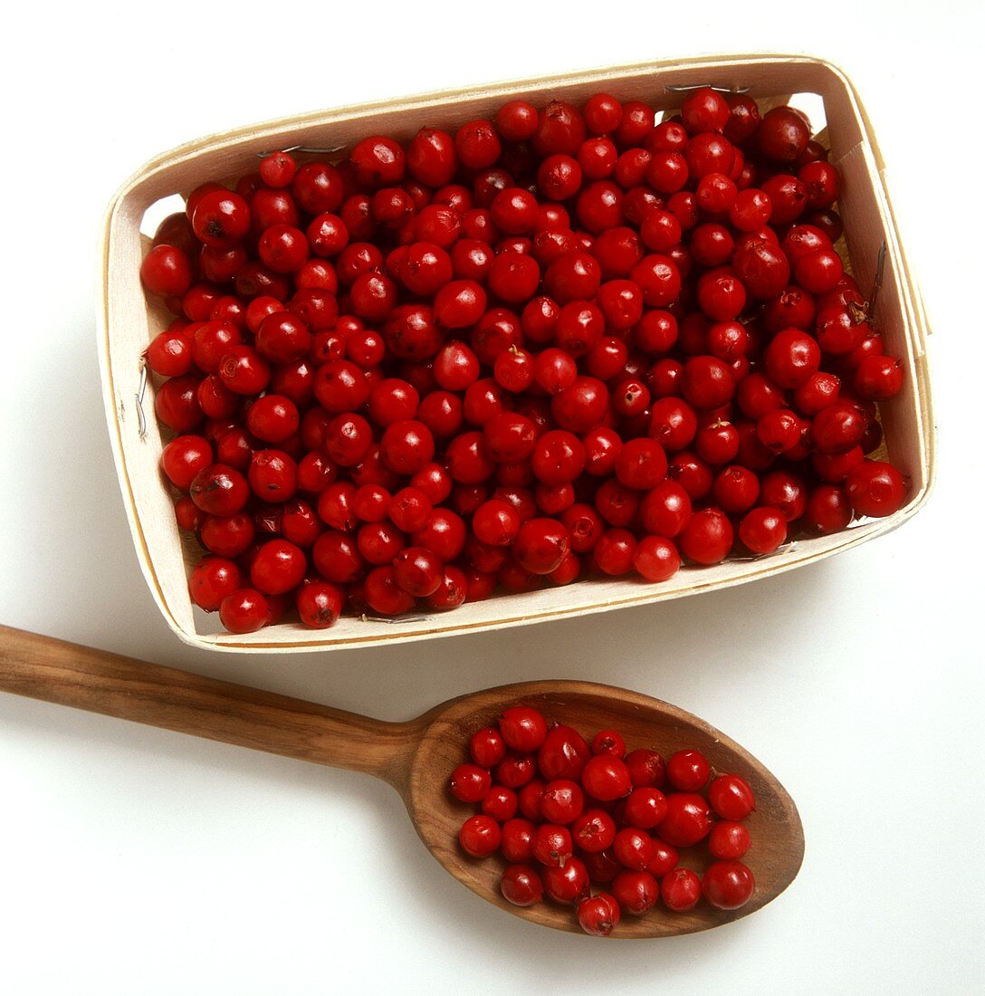 Cranberries in a Basket and in a Wooden Spoon