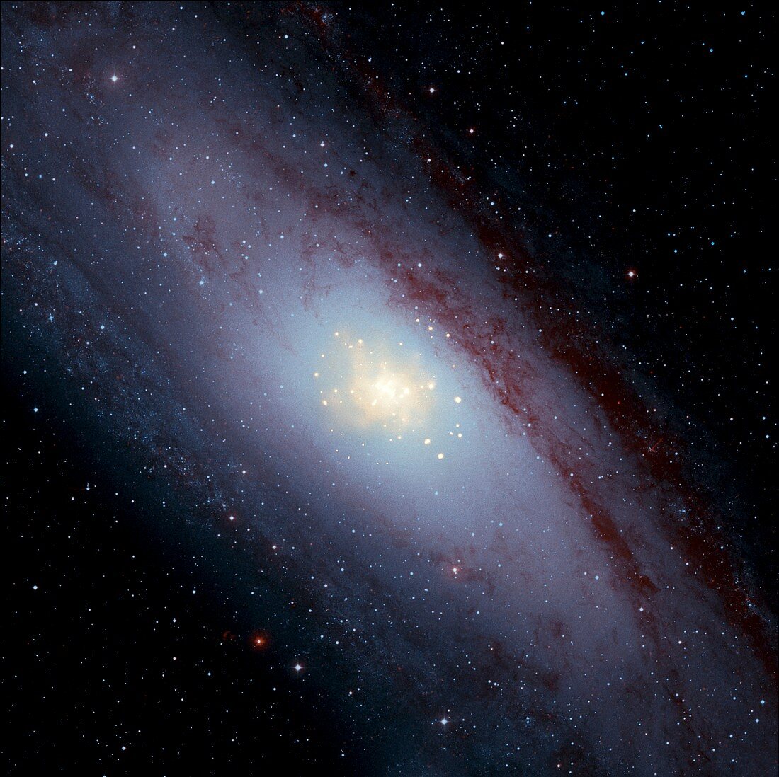 Andromeda Galaxy,composite image