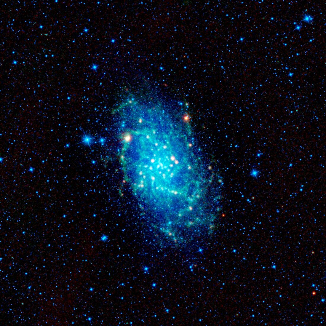 Triangulum Galaxy (M33),infrared image
