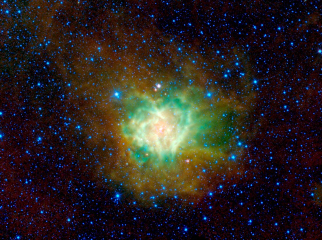 Cocoon Nebula,infrared image