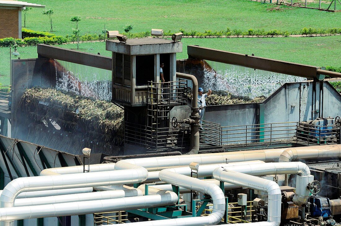 Biofuel production,Brazil
