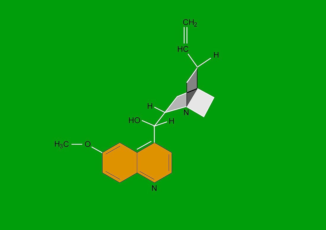 Quinine malaria drug molecule