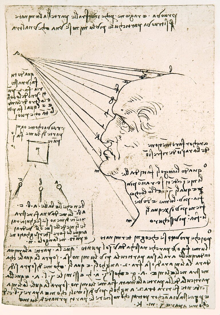 Leonardo sketch of a male head