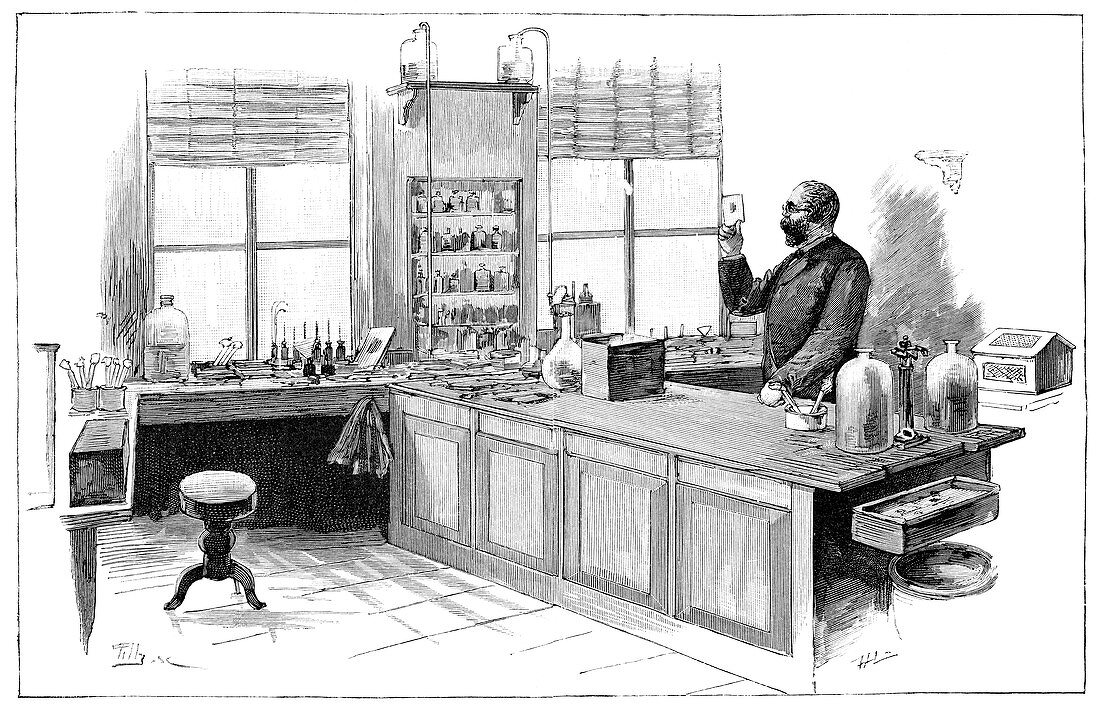 Koch and tuberculosis,19th century
