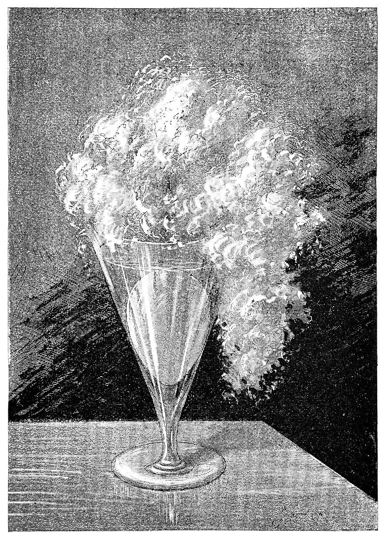 Egg chemical reaction,19th century