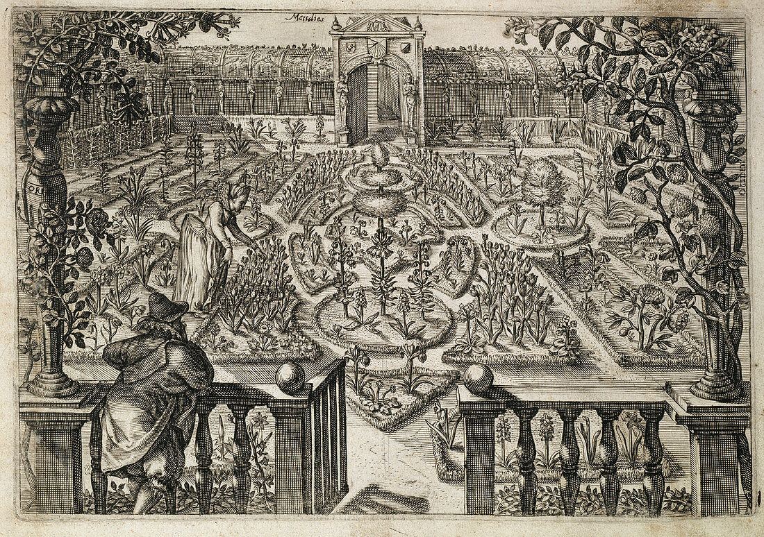 17th-century garden,historical artwork