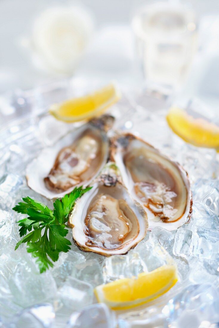Fresh oysters with lemons on ice