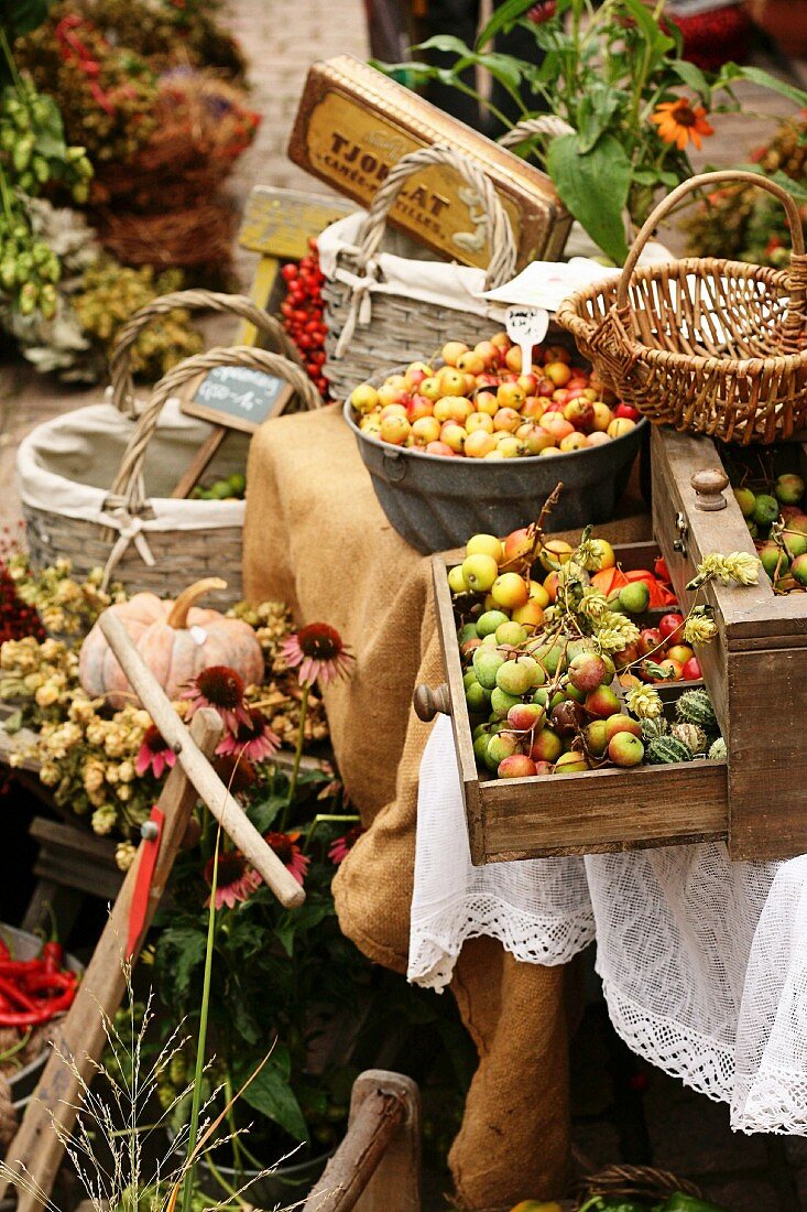Herbstmarkt mit Muskatkürbis, Hopfen, Speierling (Sorbus domestica, auch Sperbe oder Schmerbirne) und Gurkenfrüchten