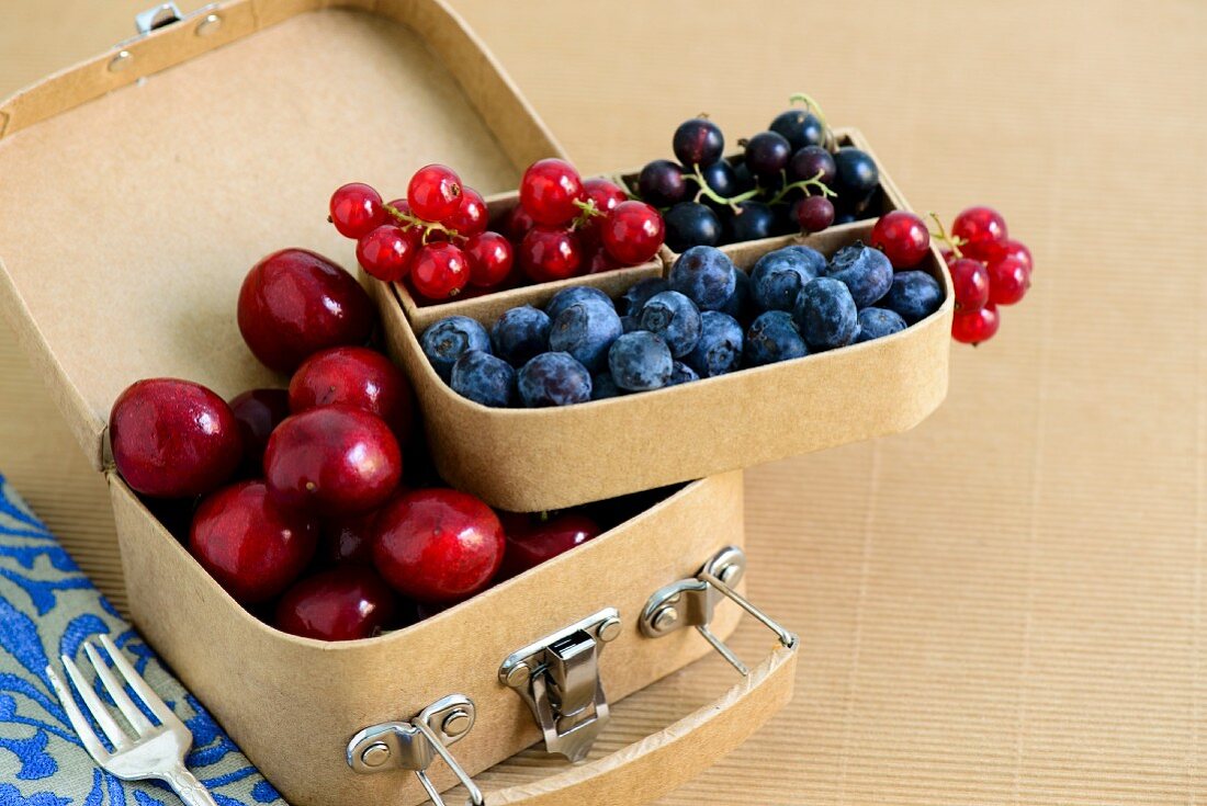 Cherries, blueberries, redcurrants and blackcurrants in a small suitcase