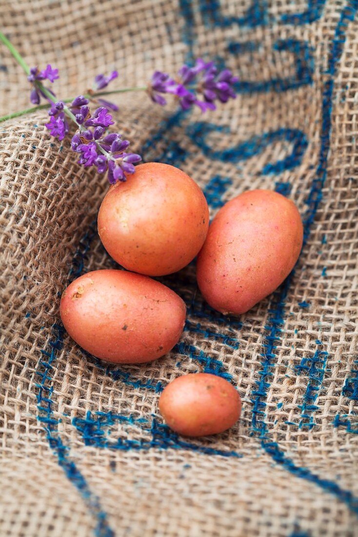 Rote Kartoffeln auf Jutesack