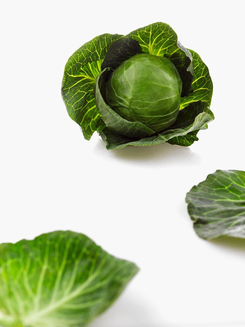 Savoy cabbage and white cabbage leaves