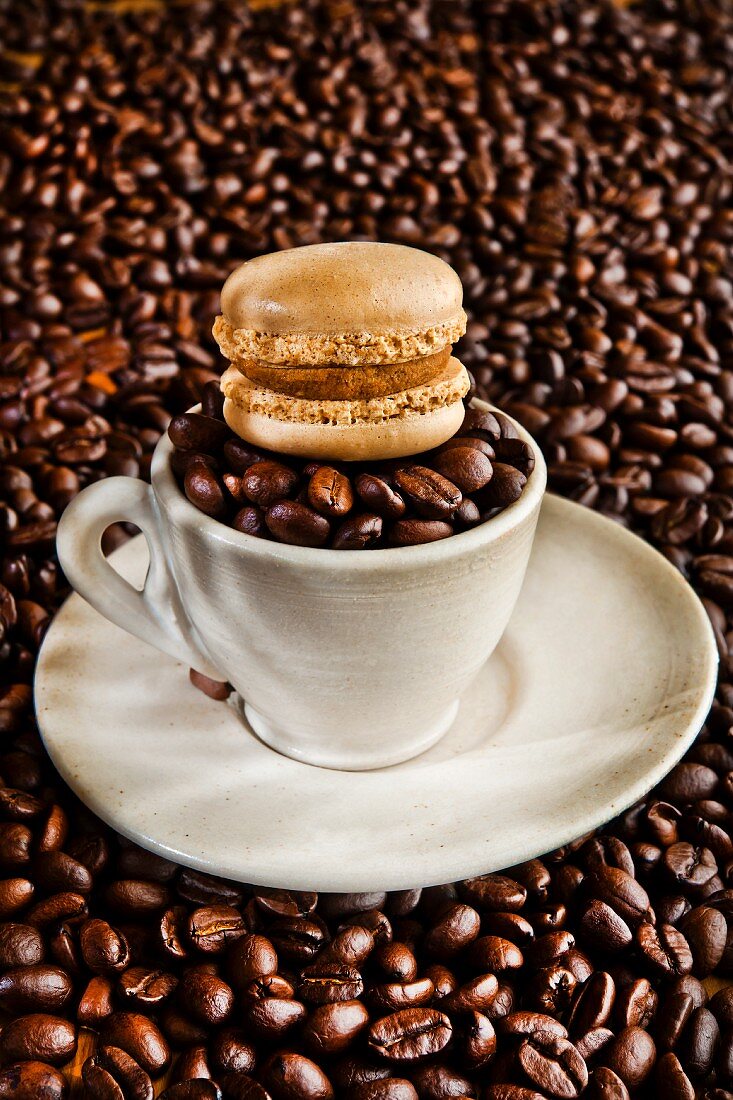 Mokka-Macaron liegt auf Tasse mit Kaffeebohnen