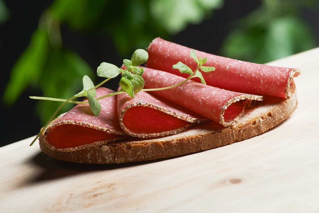 A slice of bread topped with pepper salami and fresh oregano on a wooden table in a garden