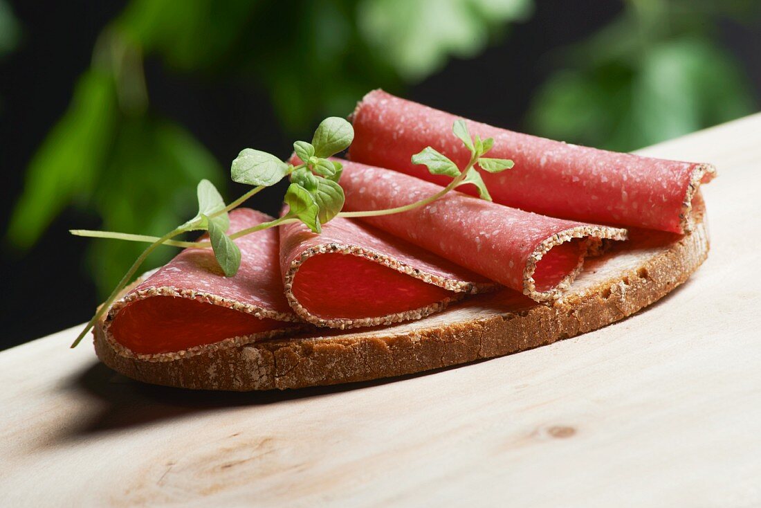 Belegtes Brot mit Pfeffersalami und frischem Oregano auf Holztisch im Garten