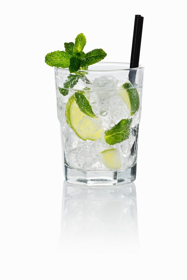 Vodka tonic with lime, mint and ice cubes