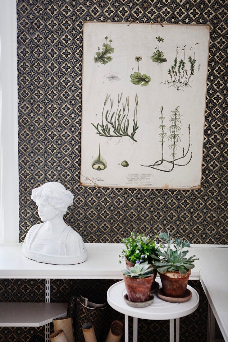 Tafel mit botanischen Zeichnungen auf tapezierter Wand mit Ornamentmuster, davor Frauenbüste und kleiner Tisch mit Grünpflanzen