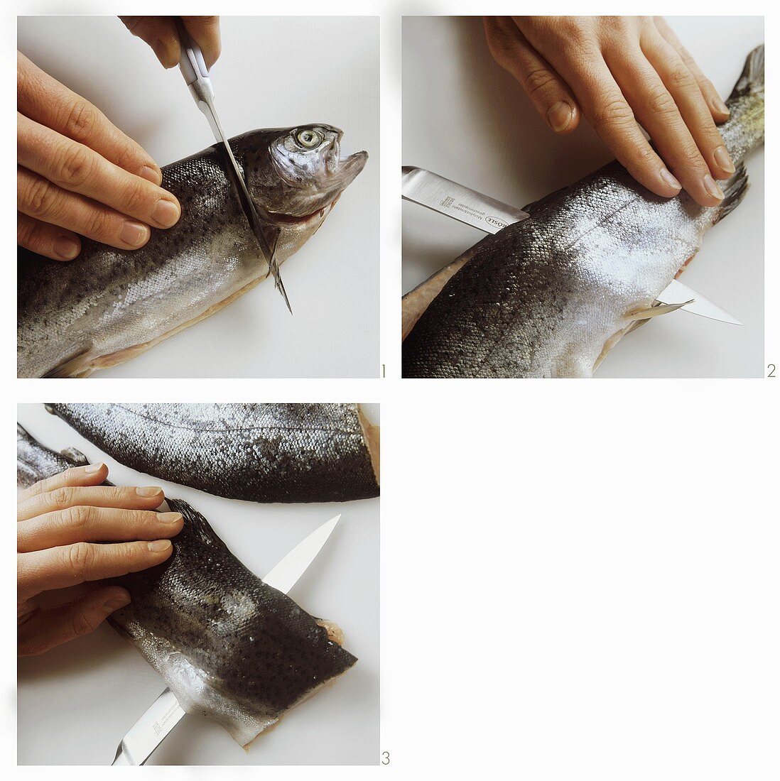 Filleting round fish