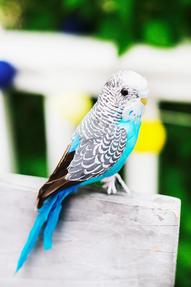 Ornamental budgerigar figurine on wooden board