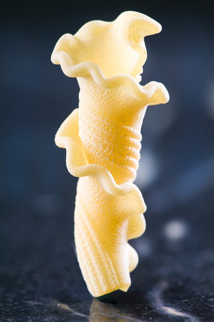 A piece of fresh Gigli Toscani pasta standing on a dark marble surface