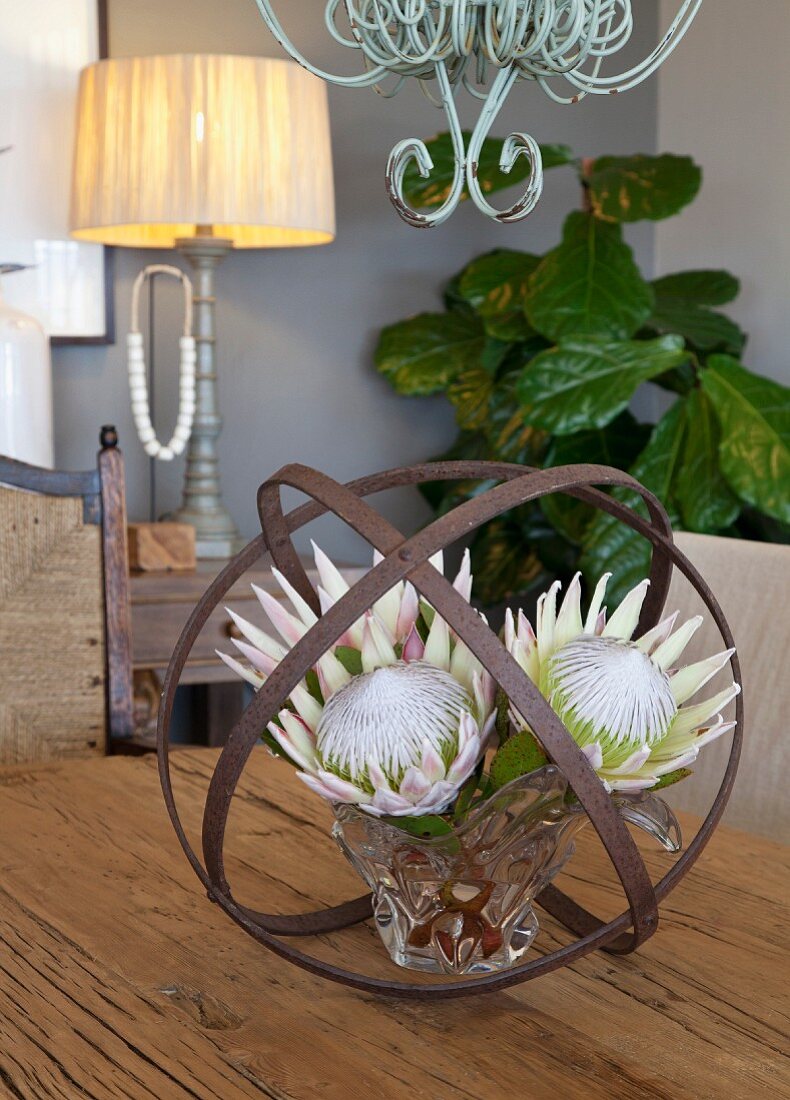 Protea flowers in crystal vase inside sphere of iron strips