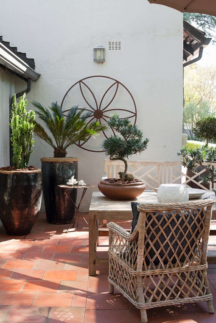 Holz- und Korbmöbel auf Terrasse mit Bonsai und exotischen Topfpflanzen