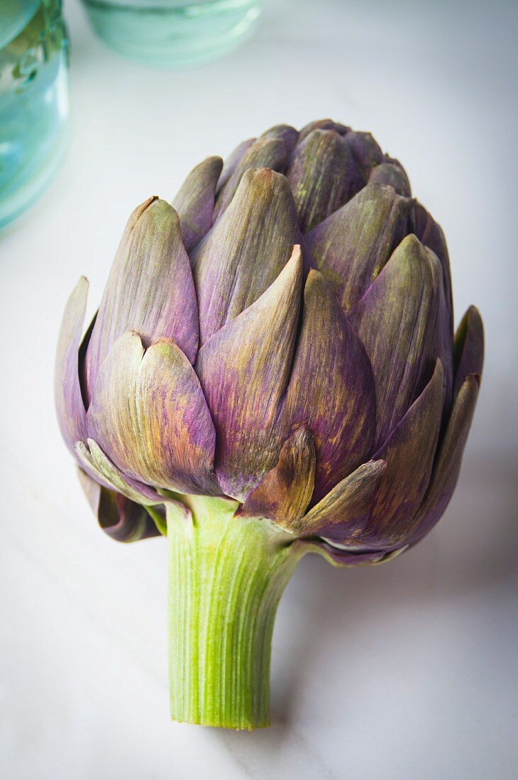 A purple artichoke on a light surface