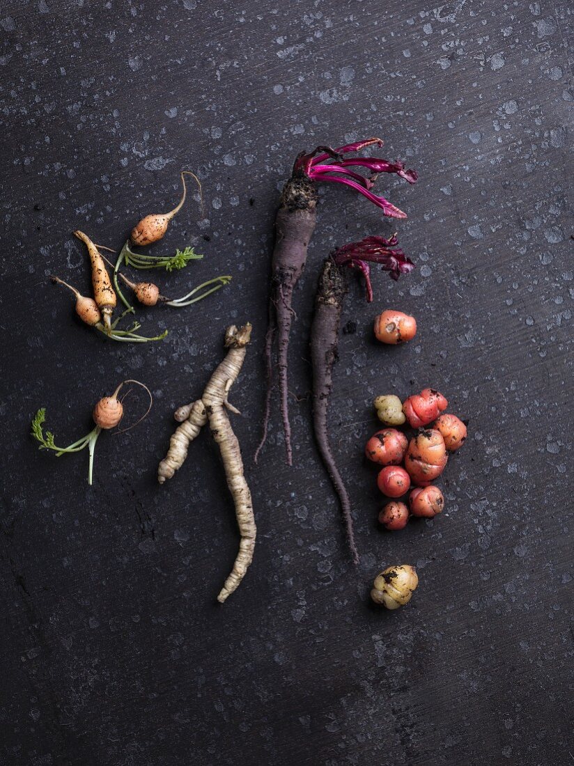 Various turnips and roots