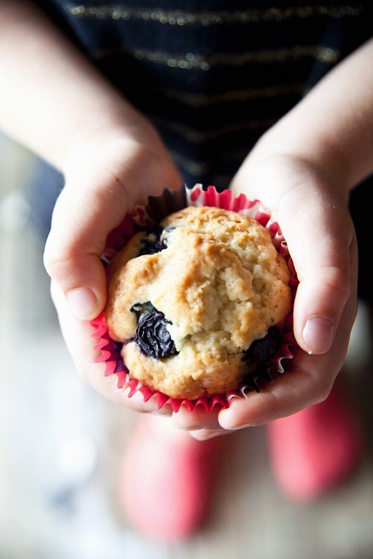 A warm blueberry muffin
