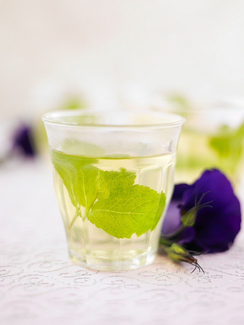 A glass of peppermint tea with mint leaves next to a violet