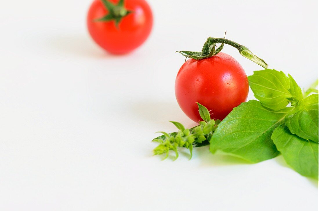 Zwei Tomaten und frisches Basilikum