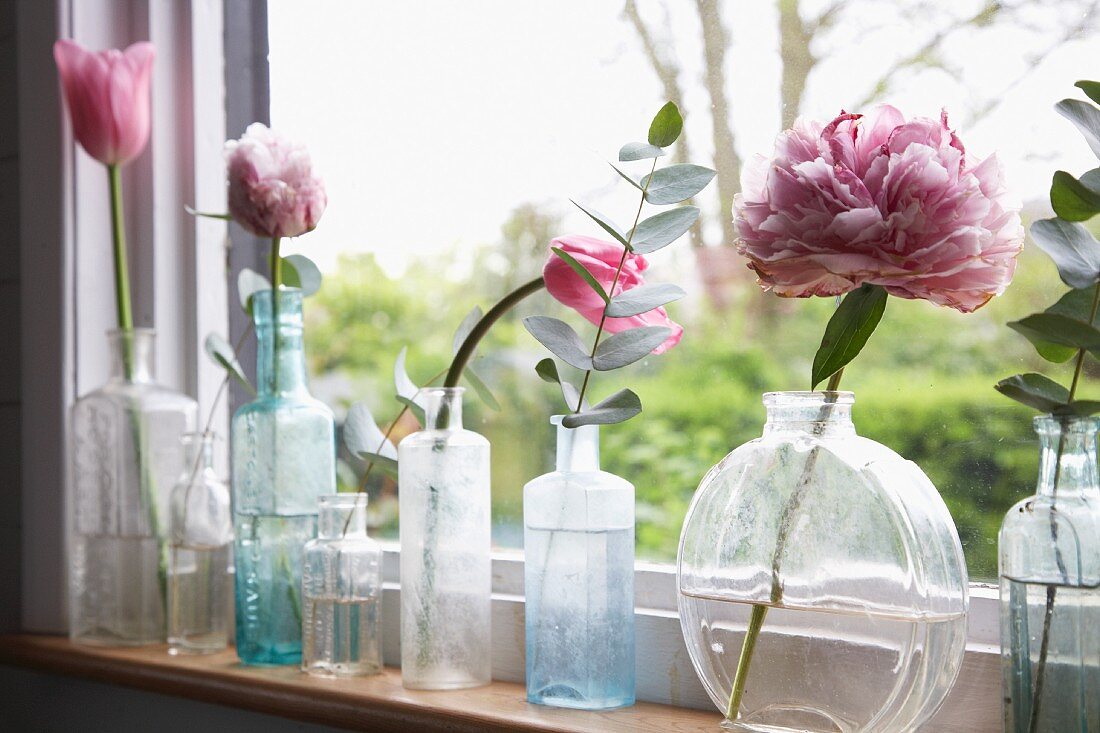 Delicate pink tulips and peonies in various glass vessels on narrow windowsill