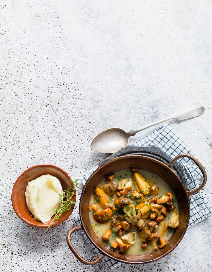 Gebratene Waldpilze mit Kartoffelpüree