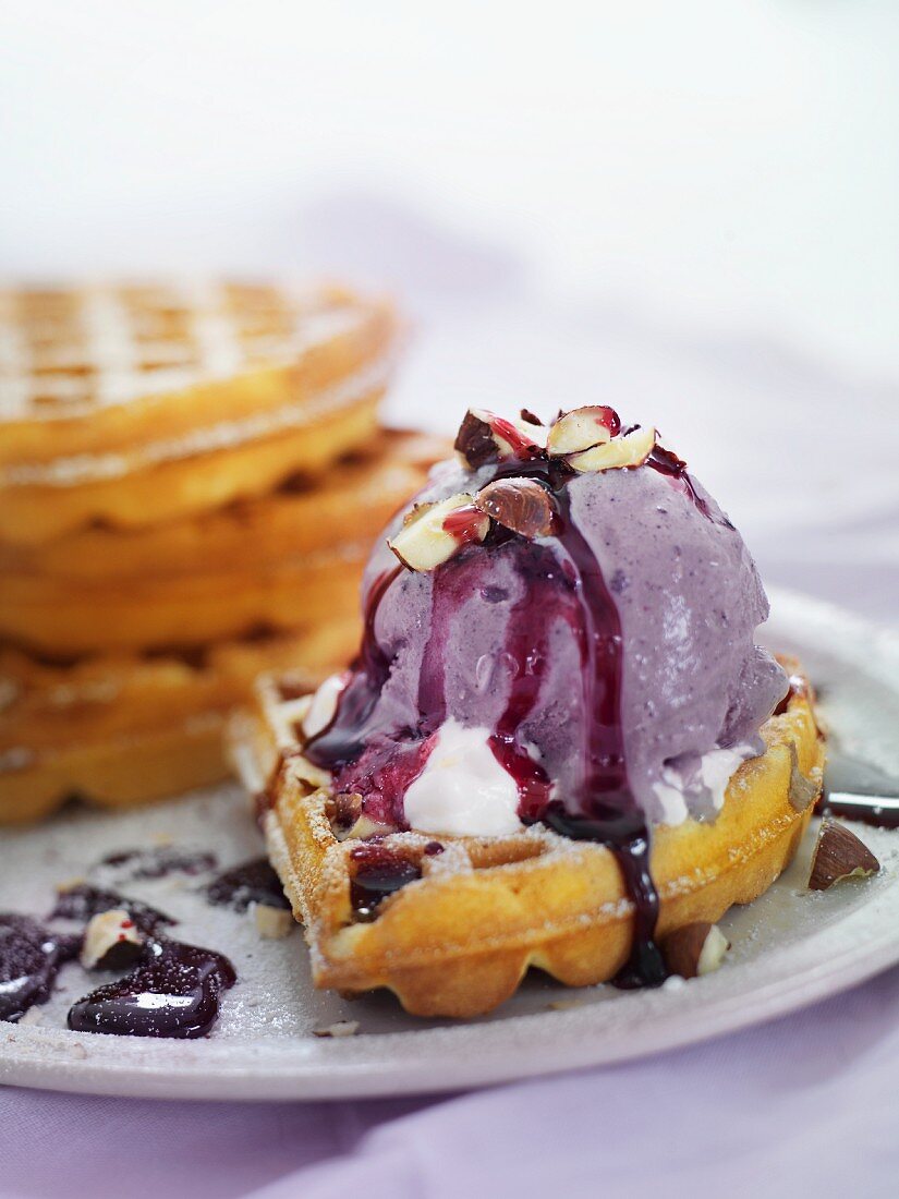 Waffles with blueberry ice cream
