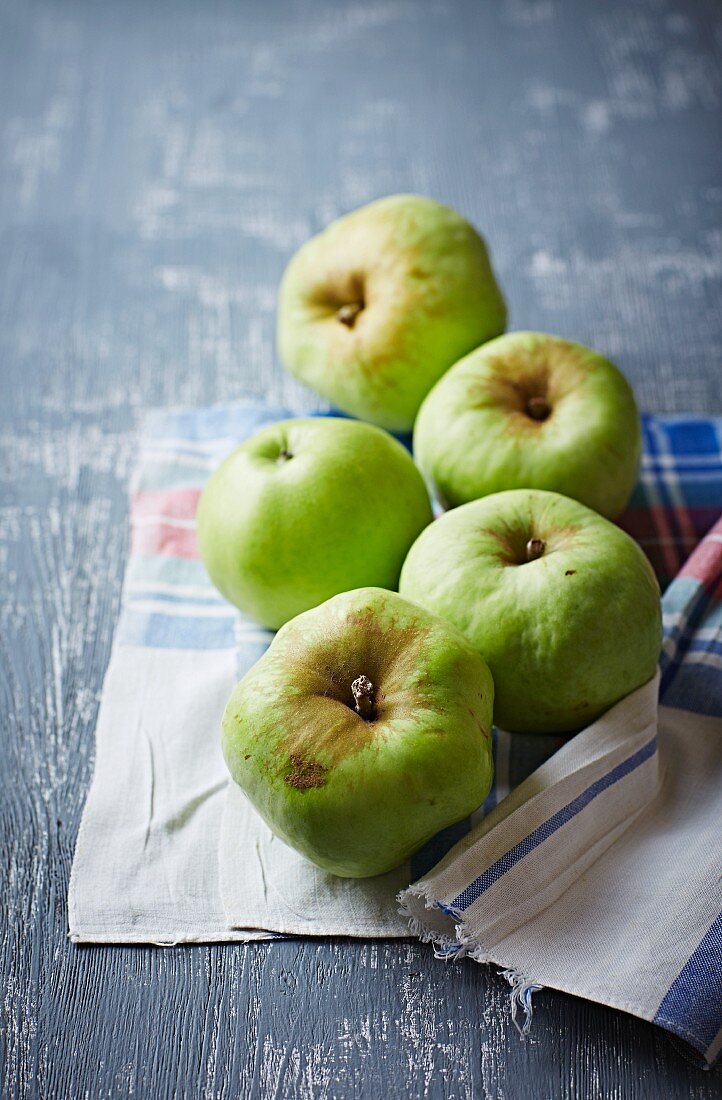 Polish Antonówka apples on a cloth